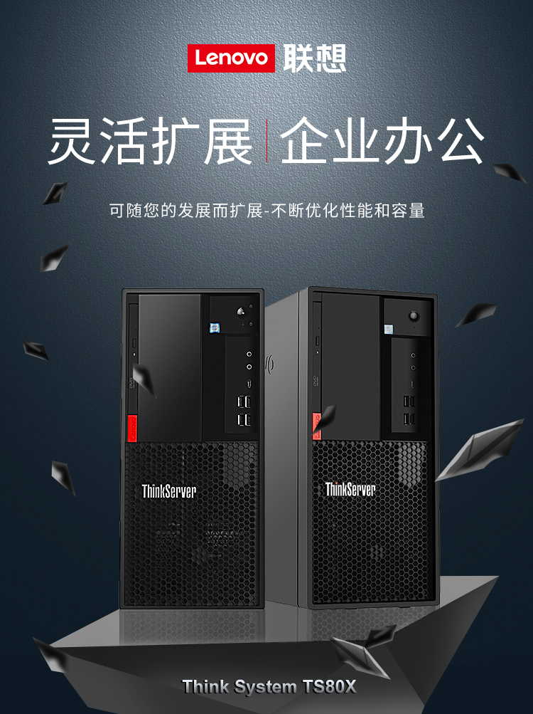 联想（Lenovo）TS80X丨T100C小主机服务器工作站塔式办公电脑 ERP财务 定制 【TS80X】至强E2224G四核