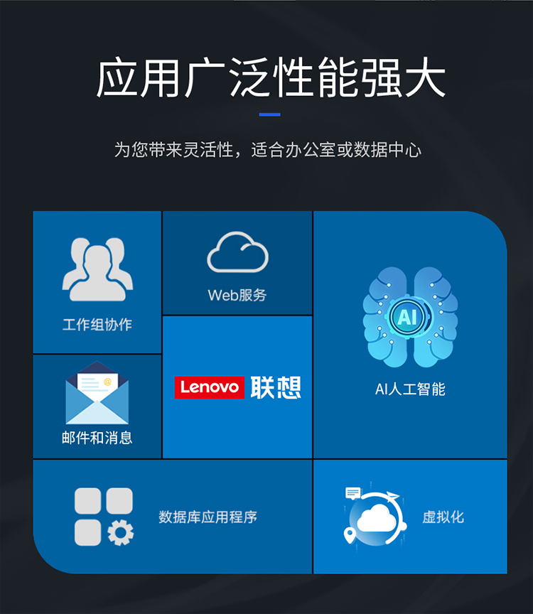联想（Lenovo）TS80X丨T100C小主机服务器工作站塔式办公电脑 ERP财务 定制 【TS80X】至强E2224G四核